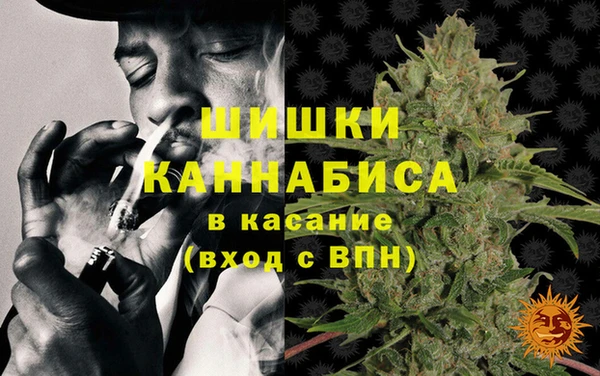 гидропоника Сатка