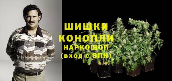 гидропоника Сатка