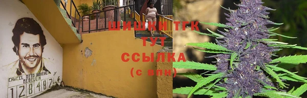 PSILOCYBIN Абдулино