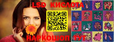 PSILOCYBIN Гатчина