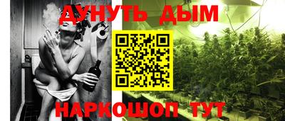 PSILOCYBIN Гатчина