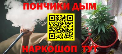 PSILOCYBIN Гатчина