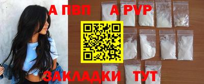 PSILOCYBIN Гатчина