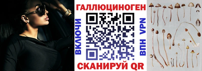 Галлюциногенные грибы Psilocybine cubensis  купить наркоту  Карталы 