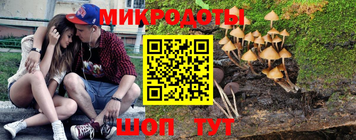 Галлюциногенные грибы прущие грибы  Вход с VPN  Карталы 